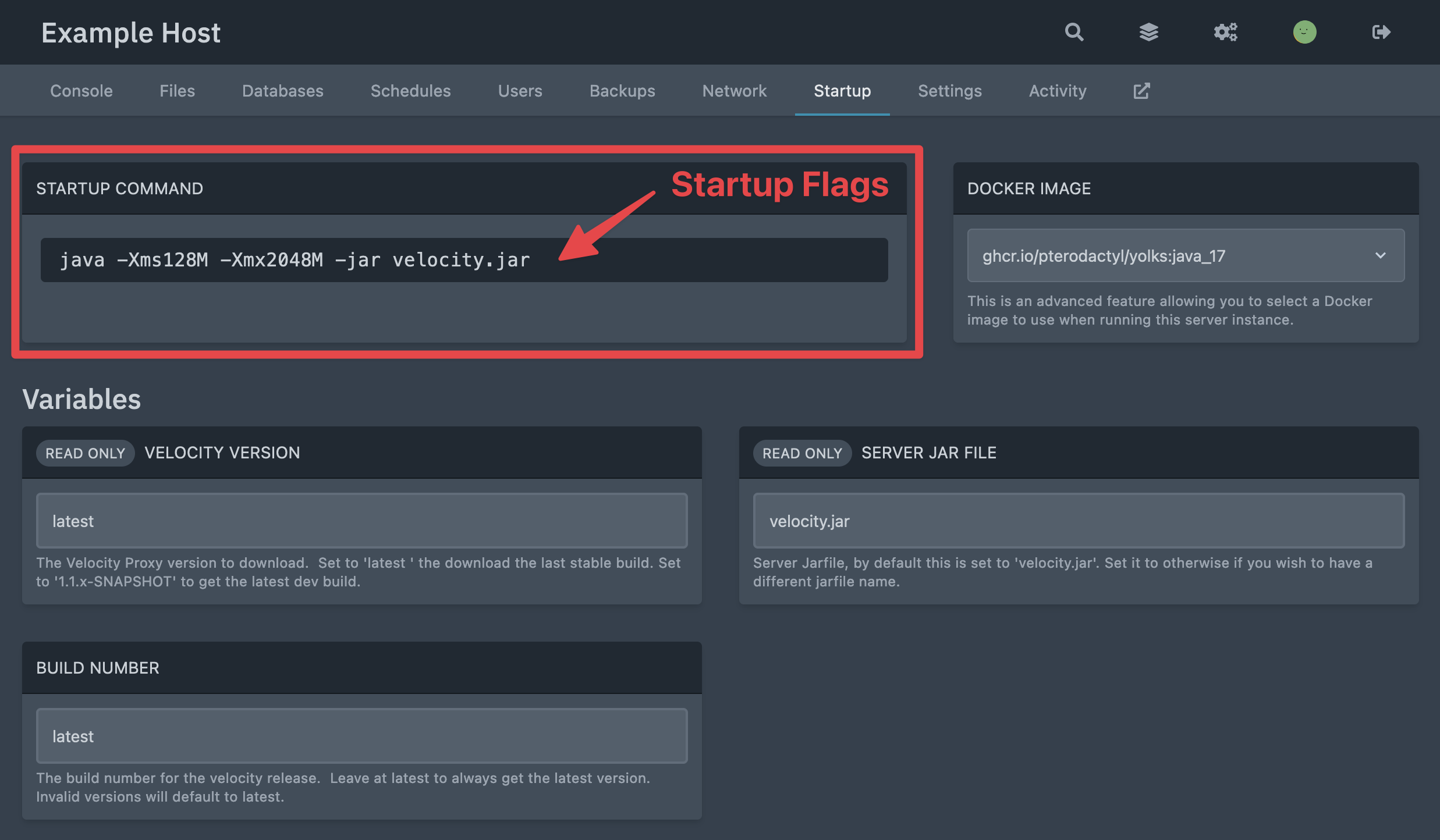 A hosting control panel showing a startup configuration screen with an editable field for Java flags.